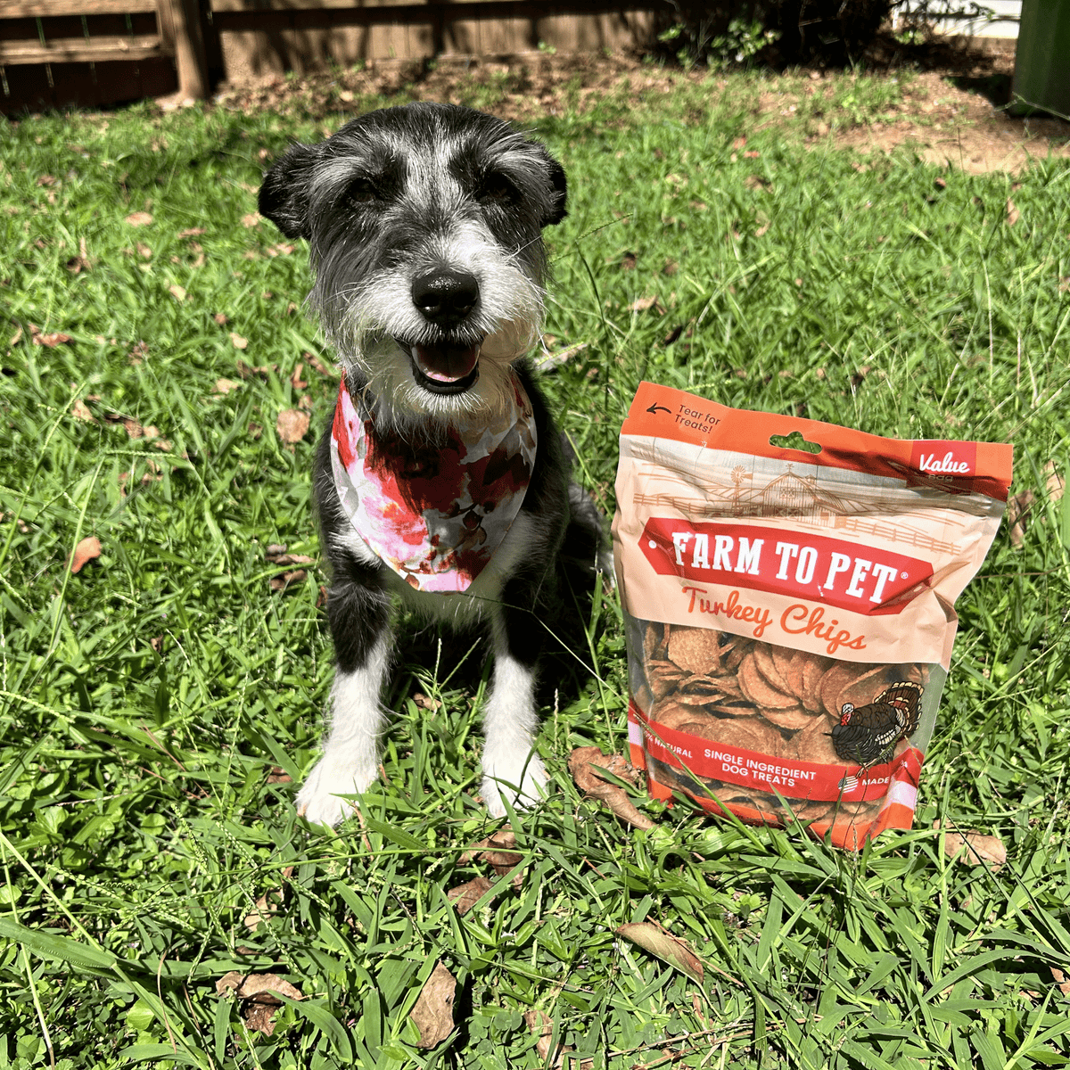 Turkey Chips for Dogs | All-Natural Single-Ingredient Healthy Dog Treats Farm To Pet