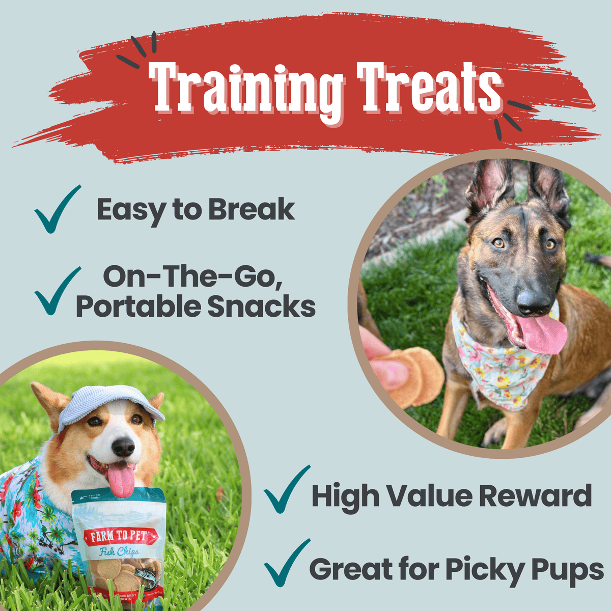 Fish Chips for Dogs | Wild-Caught Fish Dog Treats Farm To Pet