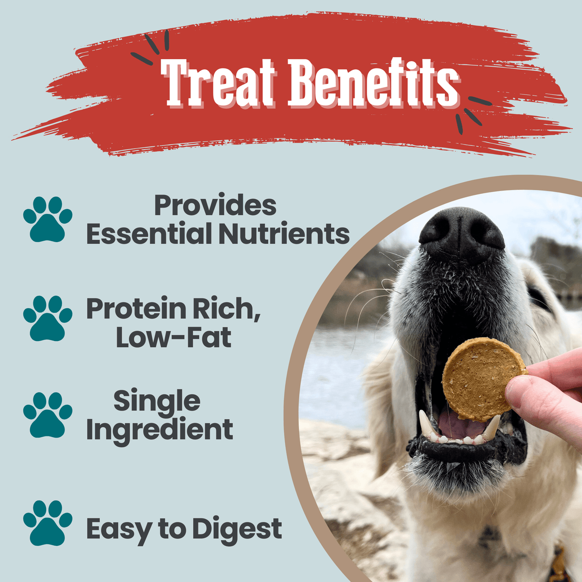 Fish Chips for Dogs | Wild-Caught Fish Dog Treats Farm To Pet