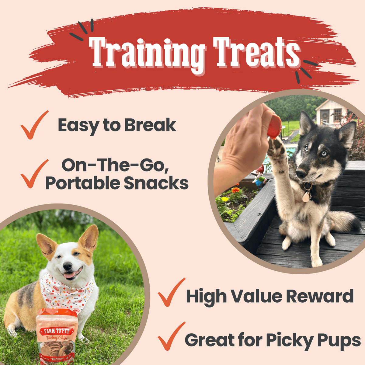 Turkey Chips for Dogs | All-Natural Single-Ingredient Healthy Dog Treats Farm To Pet