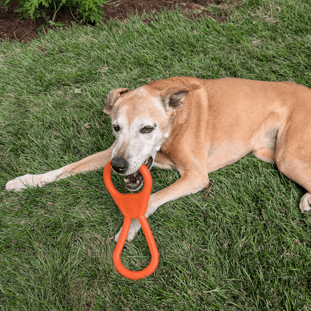 Tug Toys Farm To Pet