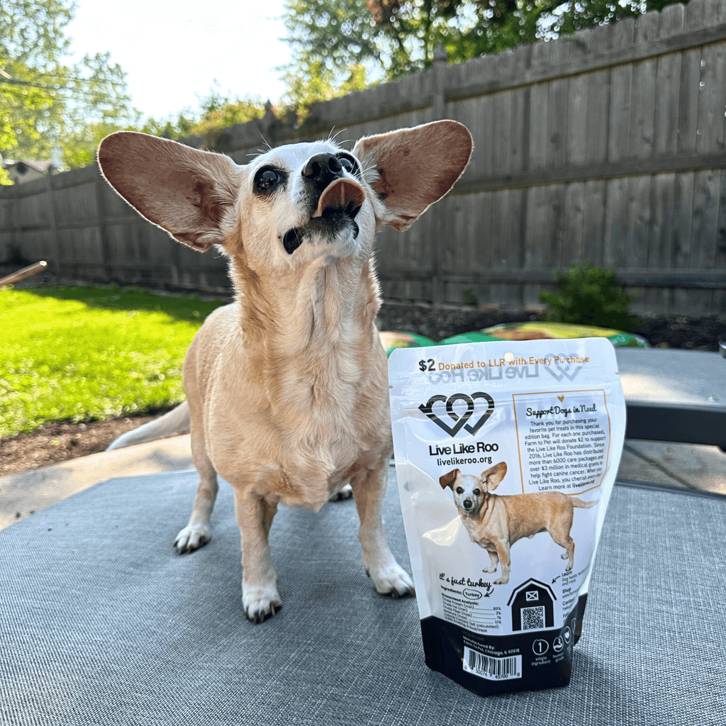 Live Like Roo Turkey Chips for Dogs | Dog Treats That Give Back Farm To Pet