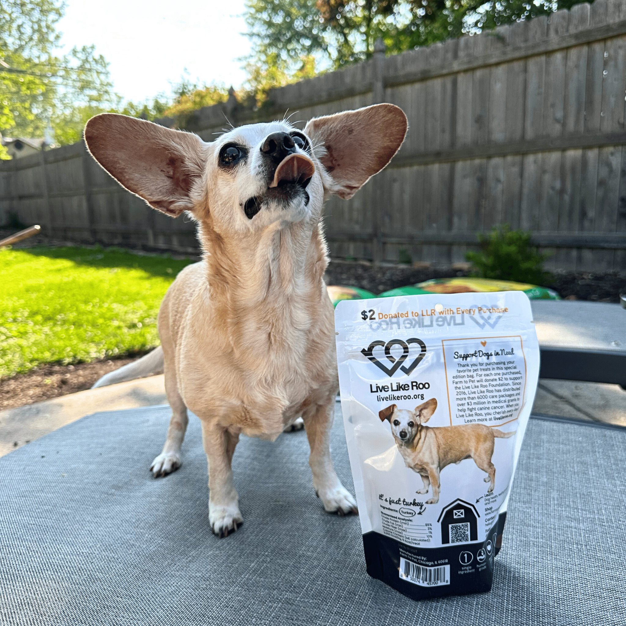 Live Like Roo Turkey Chips for Dogs | Dog Treats That Give Back Farm To Pet
