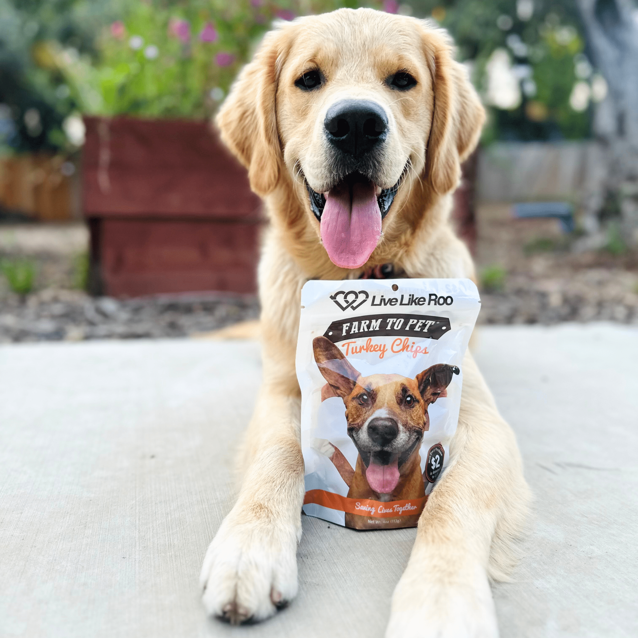 Live Like Roo Turkey Chips for Dogs | Dog Treats That Give Back Farm To Pet