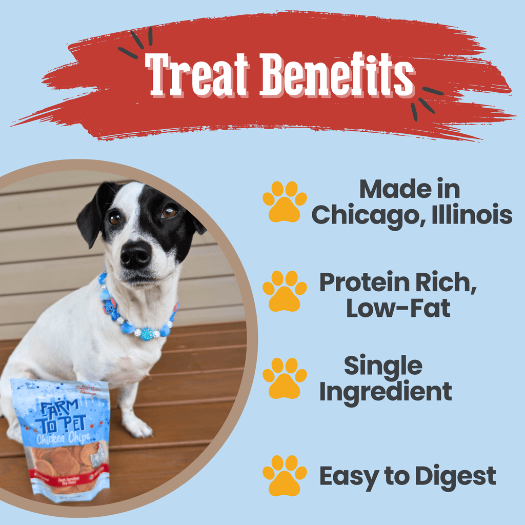 Chicago Chicken Chips for Dogs | Dog Treats To Celebrate Our Hometown Farm To Pet