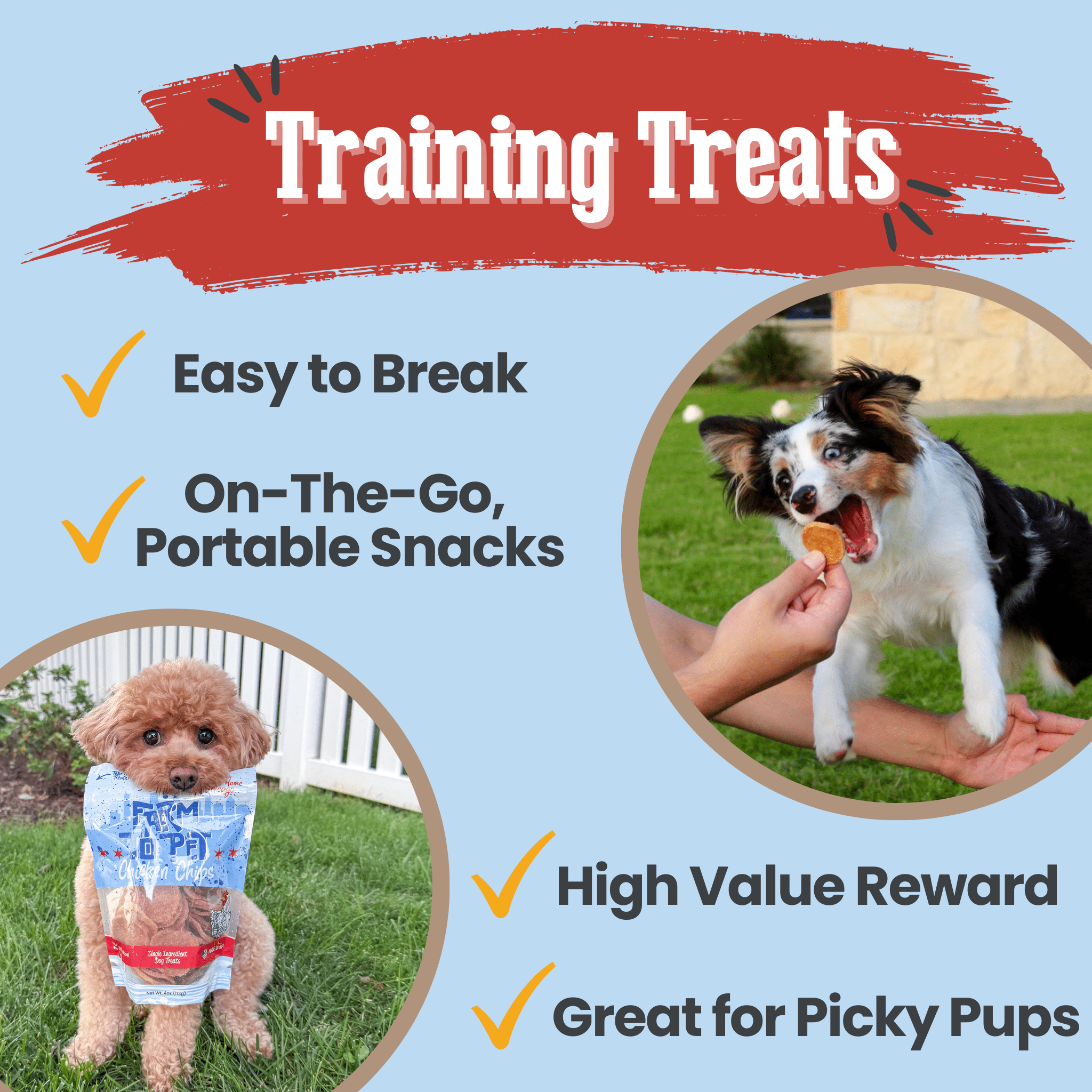 Chicago Chicken Chips for Dogs | Dog Treats To Celebrate Our Hometown Farm To Pet