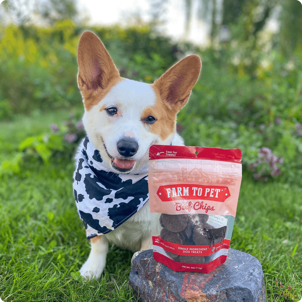 Beef Chips Dog Treats | Single-Ingredient Healthy Treats for Dogs Farm To Pet