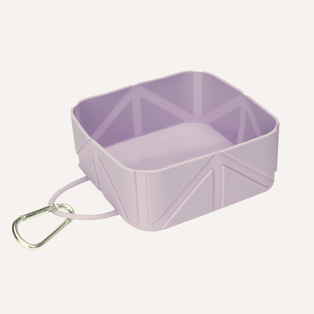 Compact Foldable Pet Food & Water Bowl – Ideal for Travel Tilley + Me