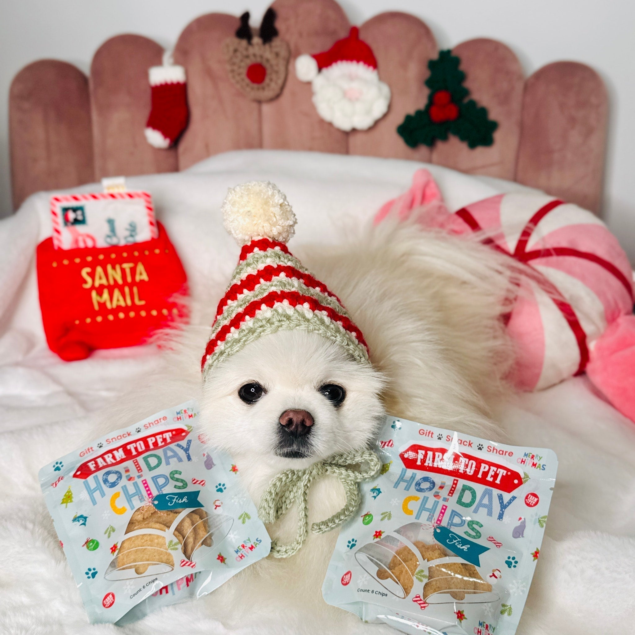 Snack Stuffers Mini Dog Treat Bags Farm To Pet