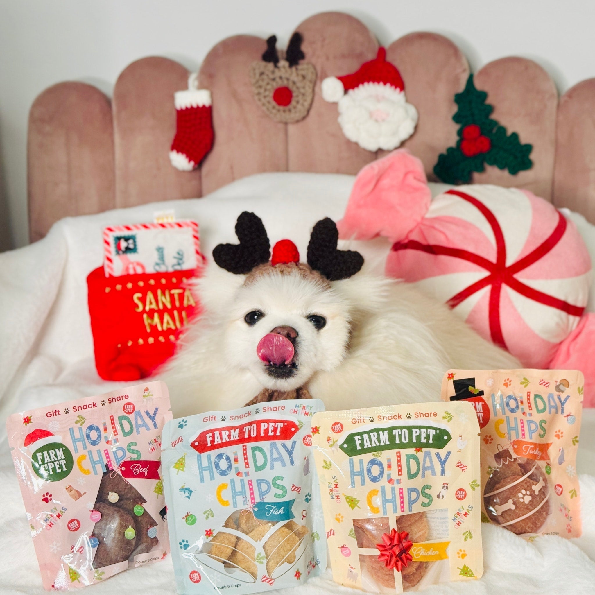 Snack Stuffers Mini Dog Treat Bags Farm To Pet
