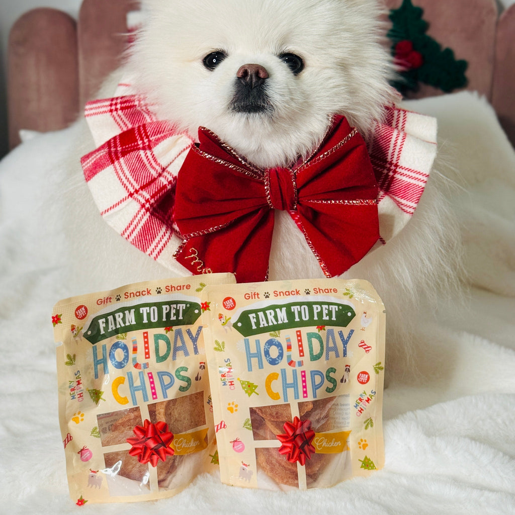 Snack Stuffers Mini Dog Treat Bags Farm To Pet