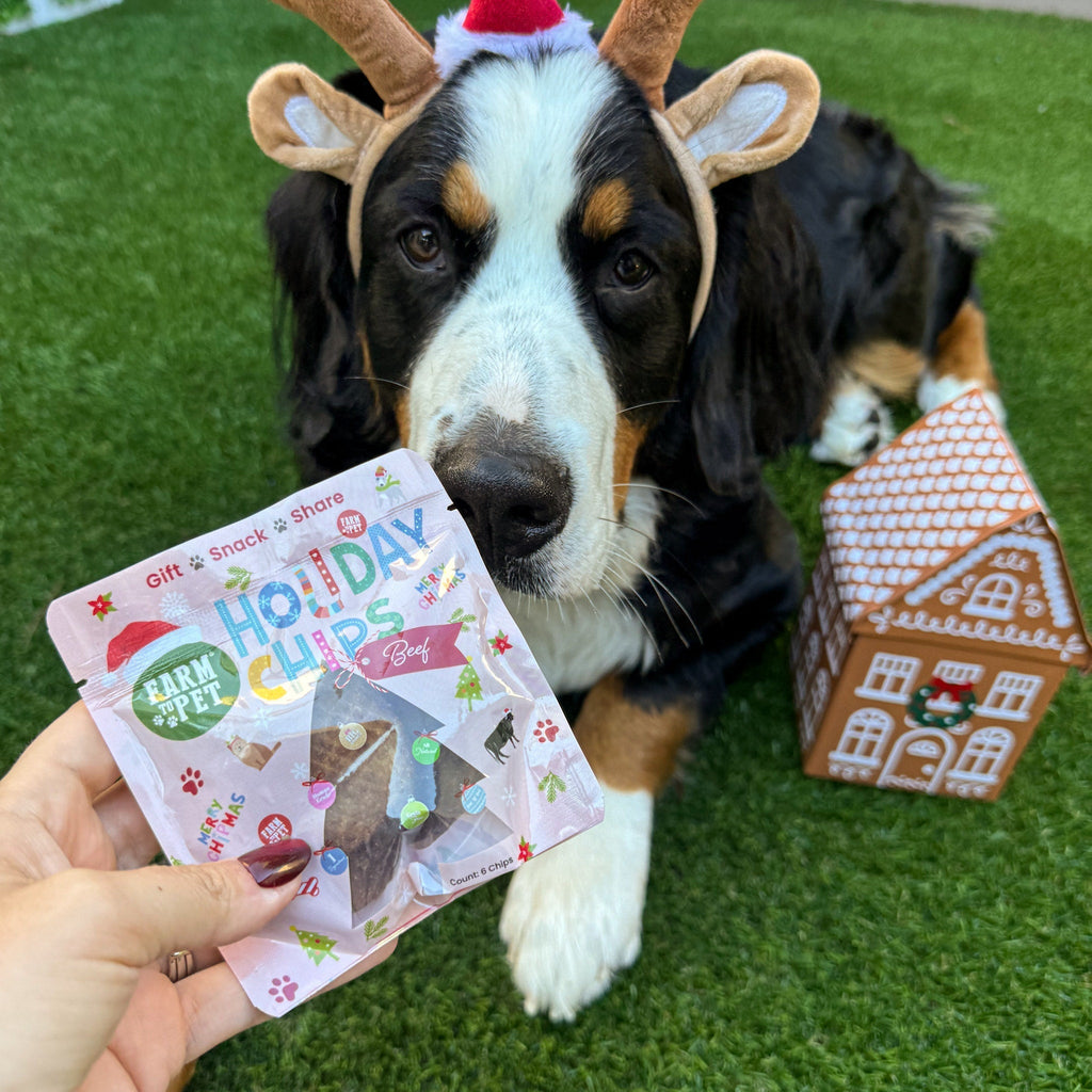 Snack Stuffers Mini Dog Treat Bags Farm To Pet