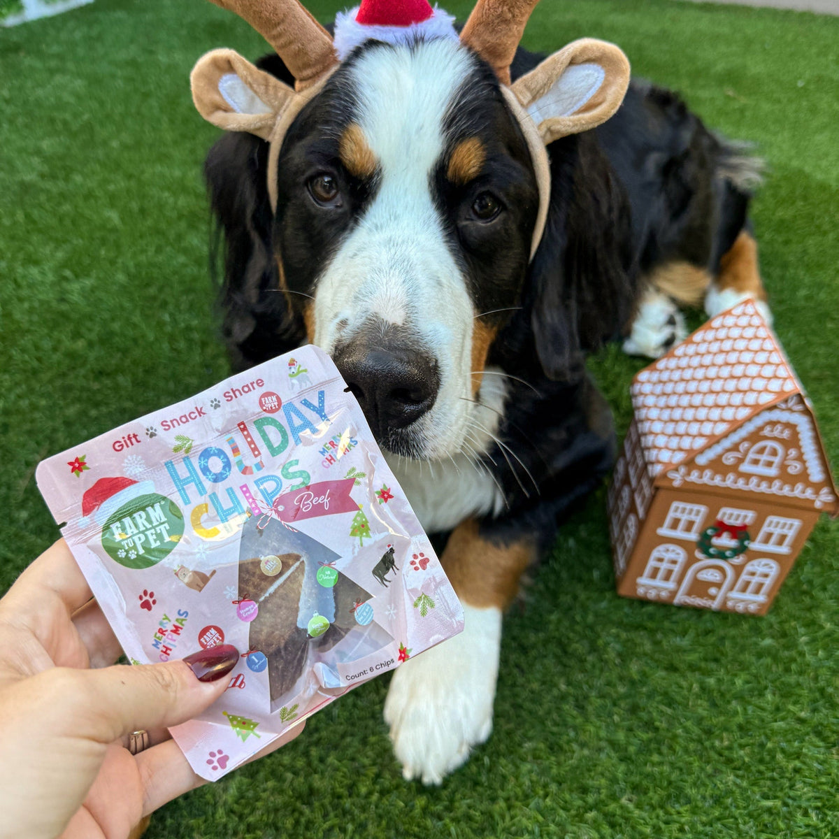 Snack Stuffers Mini Dog Treat Bags Farm To Pet