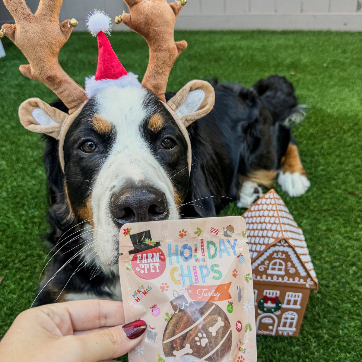 Snack Stuffers Mini Dog Treat Bags Farm To Pet