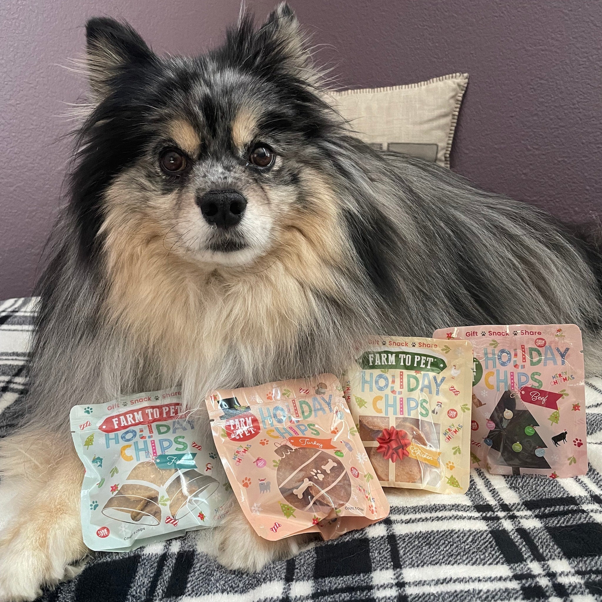 Snack Stuffers Mini Dog Treat Bags Farm To Pet
