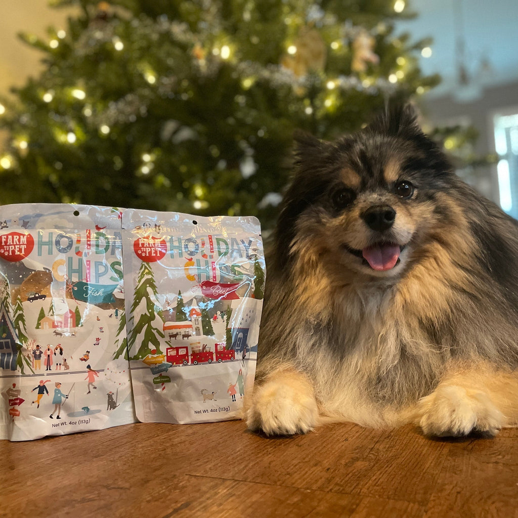 Holiday Chips Dog Treats - Beef & Fish 4oz Farm To Pet