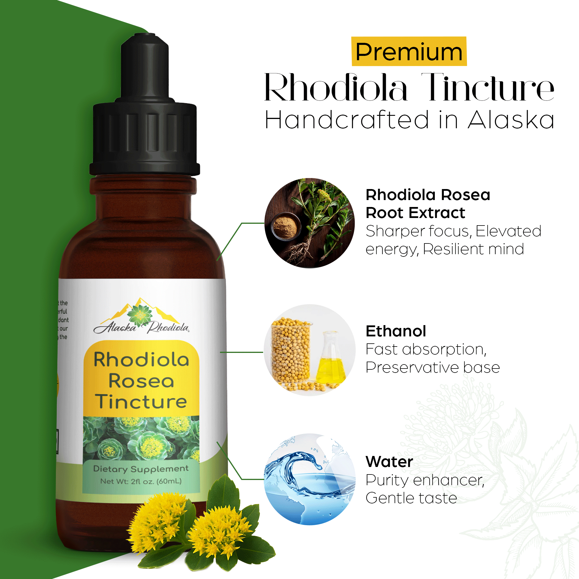 Rhodiola Rosea Tincture – Natural Stress & Energy Support (2 oz) Alaska Rhodiola