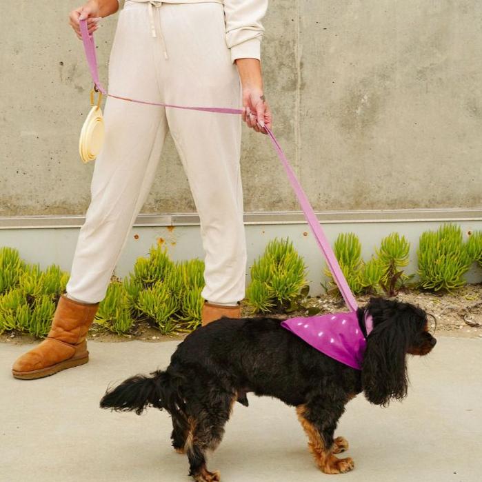 Hemp Cotton Dog Leash - Durable, Sustainable, Adjustable, Lightweight & Soft Tilley + Me