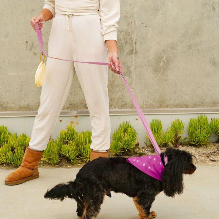 Hemp Cotton Dog Collar - Durable, Sustainable, Adjustable, Lightweight & Soft Tilley + Me