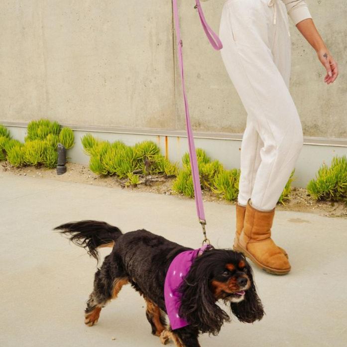 Hemp Cotton Dog Leash - Durable, Sustainable, Adjustable, Lightweight & Soft Tilley + Me