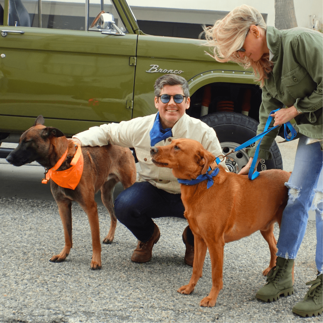 Hemp Cotton Dog Collar - Durable, Sustainable, Adjustable, Lightweight & Soft Tilley + Me