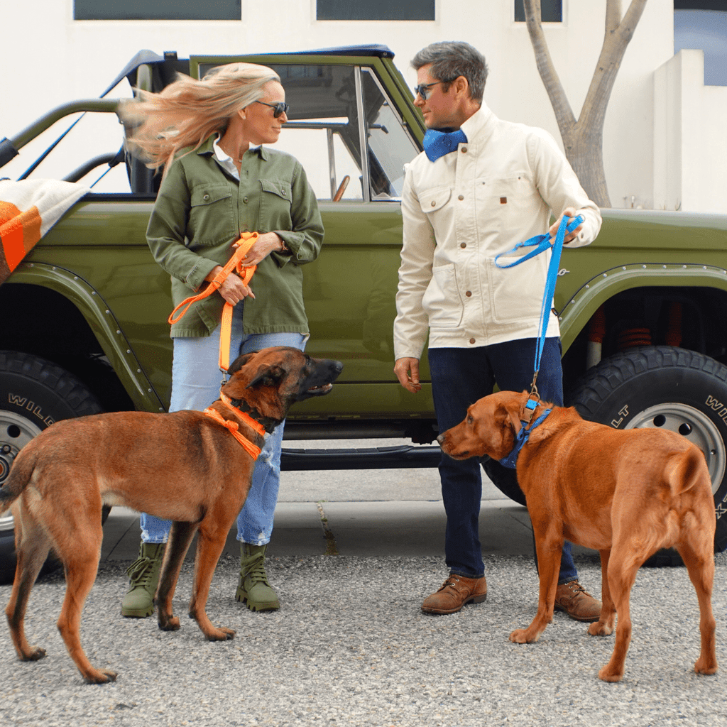 Hemp Cotton Dog Collar - Durable, Sustainable, Adjustable, Lightweight & Soft Tilley + Me