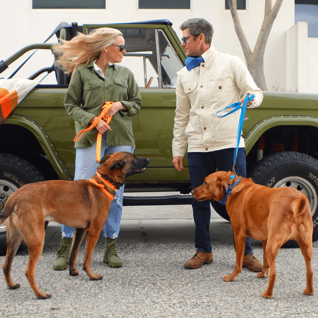Hemp Cotton Dog Collar - Durable, Sustainable, Adjustable, Lightweight & Soft Tilley + Me