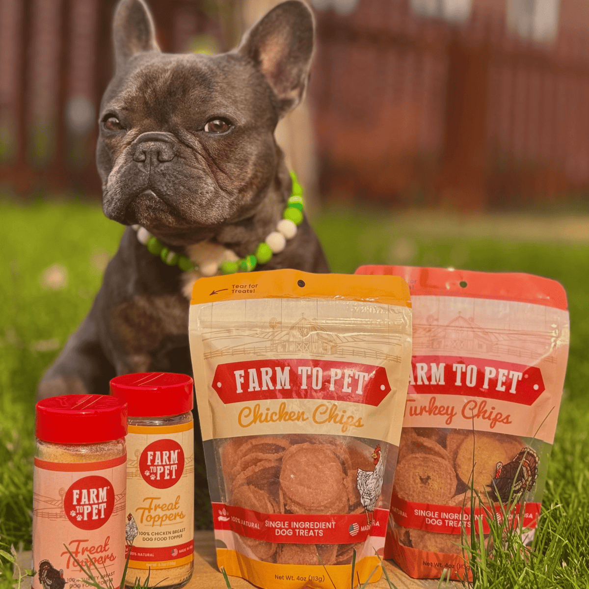 Chicken & Turkey Dog Food Topper Bundle Farm To Pet