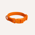 PVC Dog Collar - All Weather Waterproof Durable & Odor-Resistant Tilley + Me