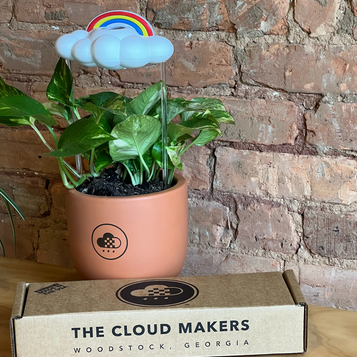 Original Dripping Rain Cloud with Rainbow Charm The Cloud Makers