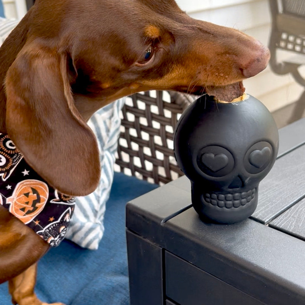 Dog Treat Dispensers Farm To Pet