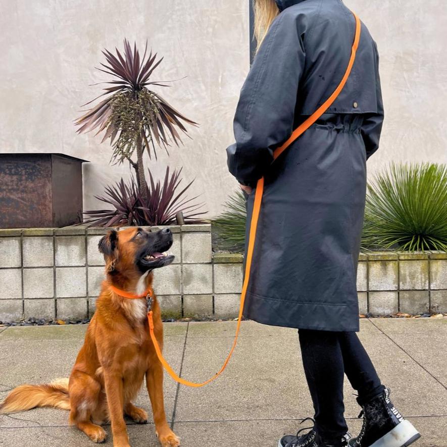 PVC Handsfree Dog Leash - All Weather Waterproof Durable & Odor-Resistant Tilley + Me