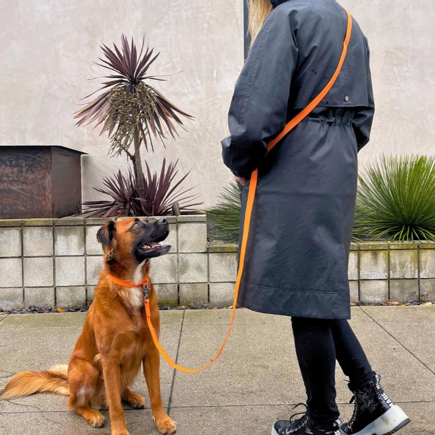 PVC Dog Collar - All Weather Waterproof Durable & Odor-Resistant Tilley + Me