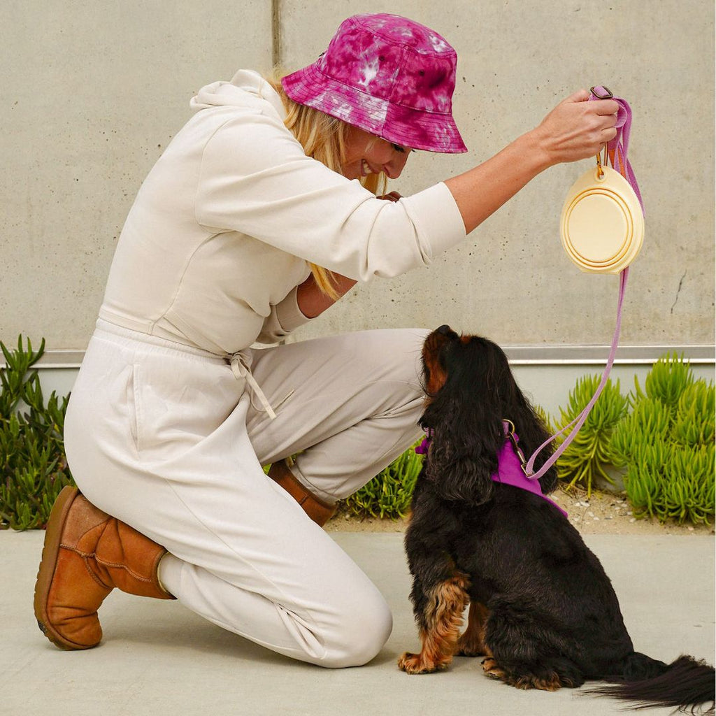 Collapsible Double Pet Bowl – Lightweight & Portable for Travel Tilley + Me