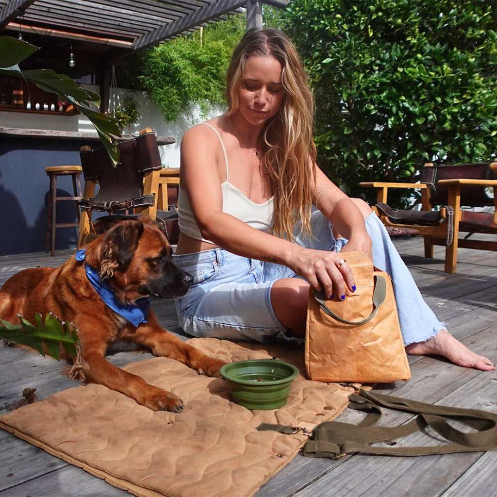 Convertible Dog Bag - Portable Travel Mat Bag for Pet Owners Tilley + Me