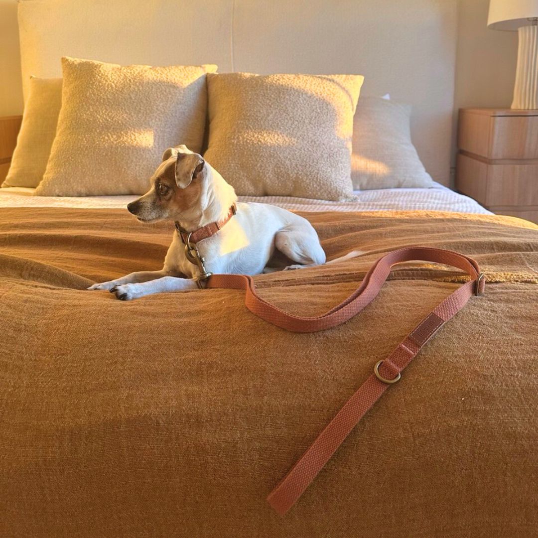 Hemp Cotton Dog Leash - Durable, Sustainable, Adjustable, Lightweight & Soft Tilley + Me