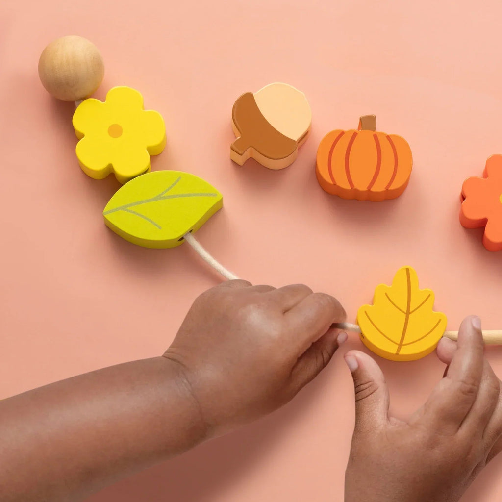 Tiny Land® Montessori Toys for Toddlers (18–24 Months) – Montessori Toys for 2 Year Olds Tiny Land INC