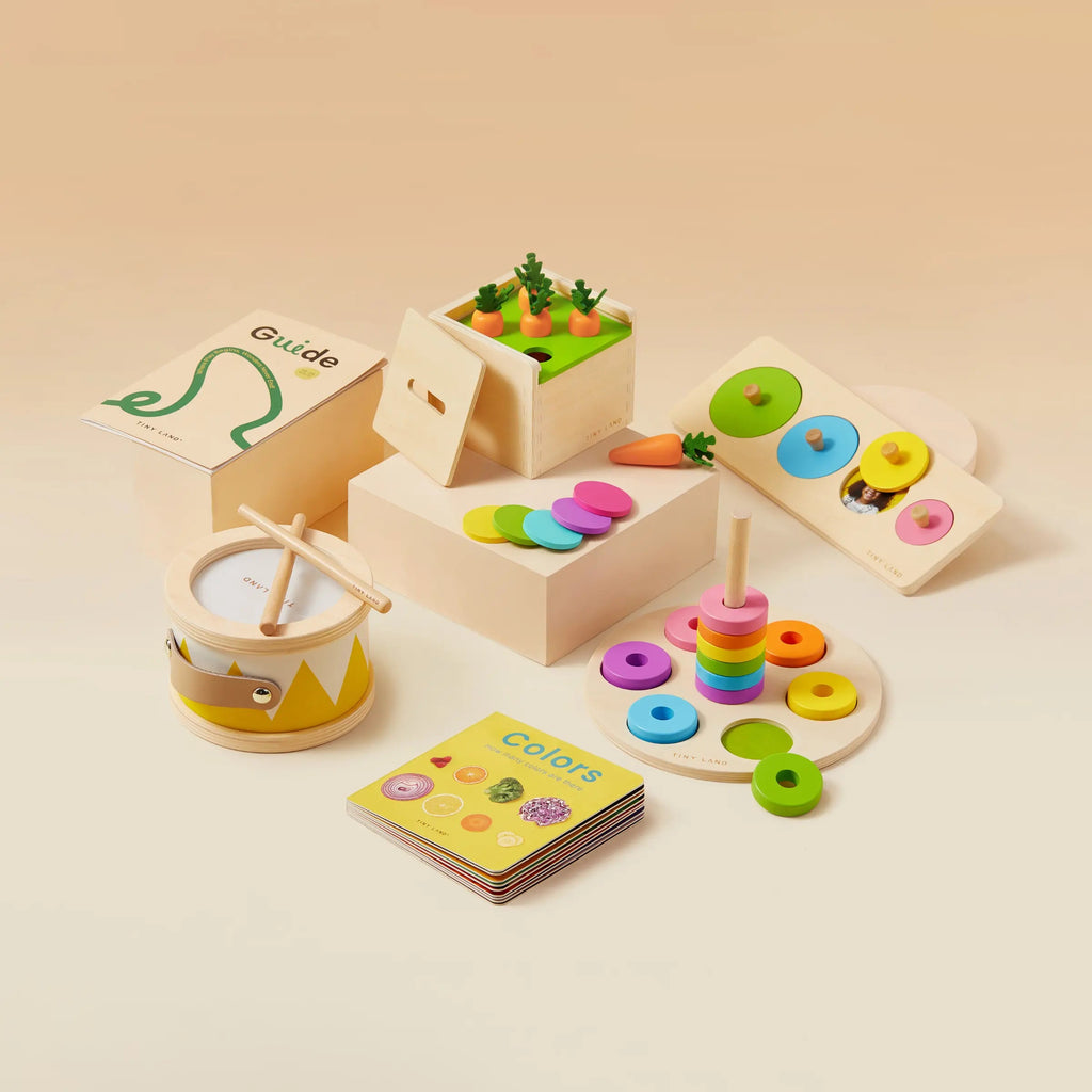 Tiny Land® Montessori Toys for Toddlers (13–15 Months) Tiny Land INC