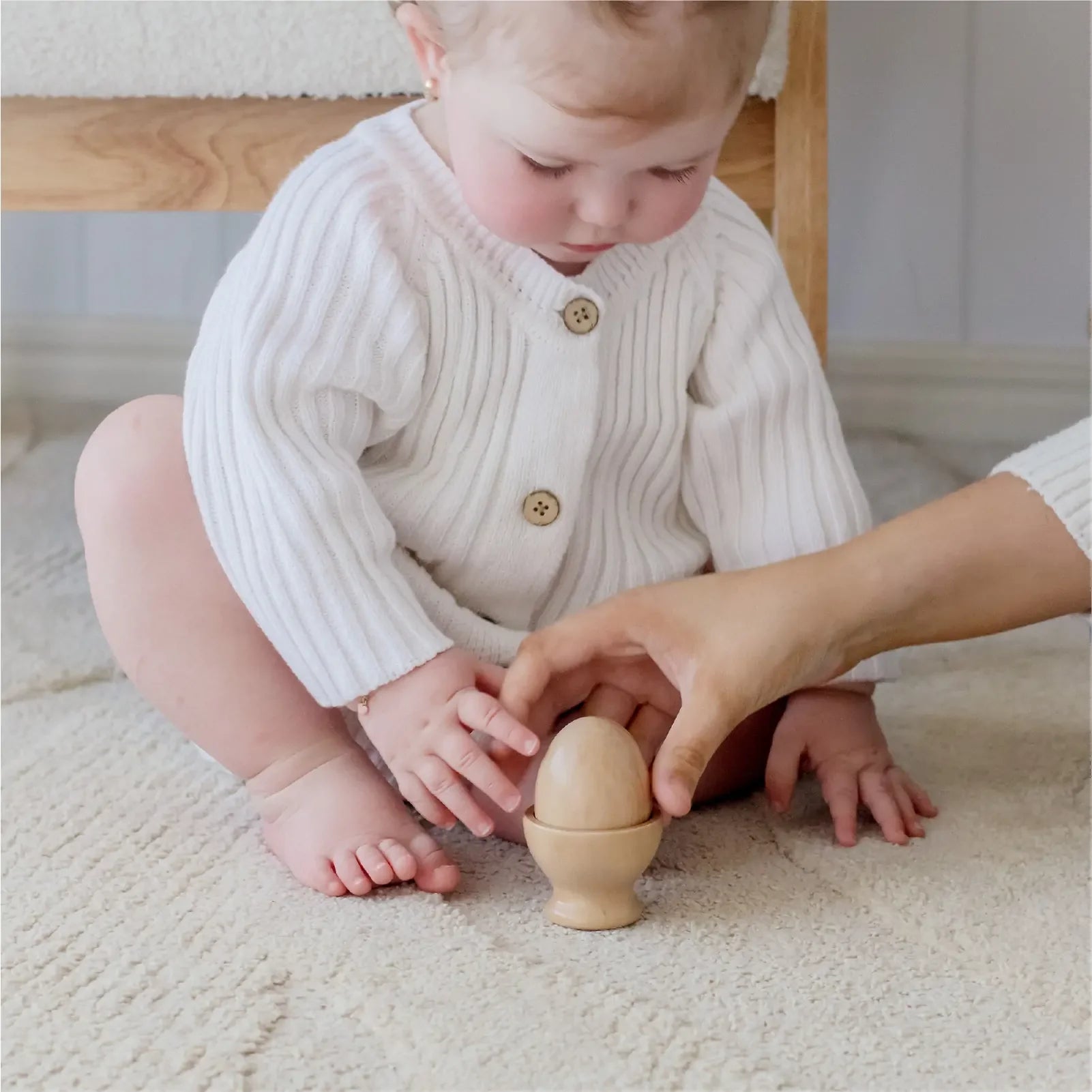 Tiny Land® Montessori Toys for Infants (10–12 Months) Tiny Land INC