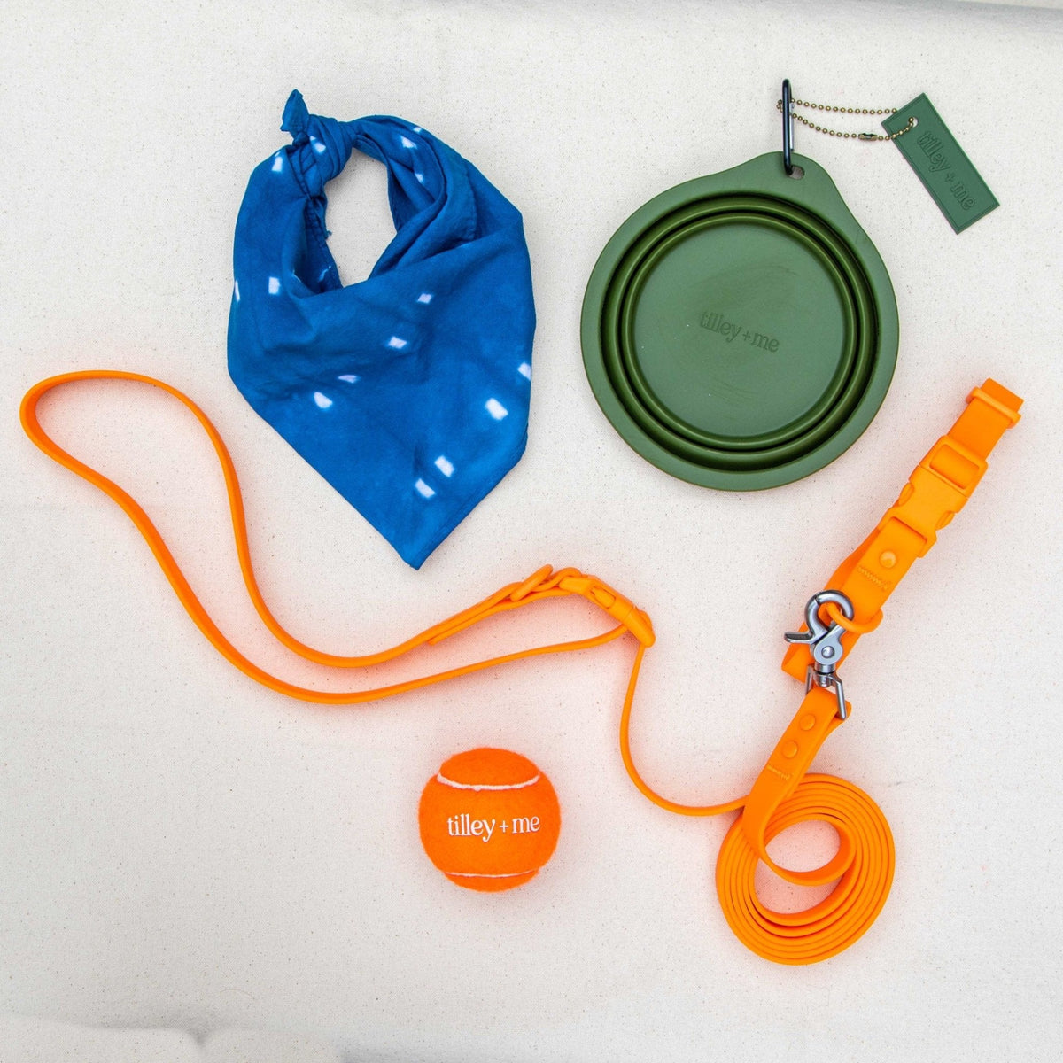 Collapsible Pet Bowl with Clip – Compact, Reusable and Easy to Clean Tilley + Me