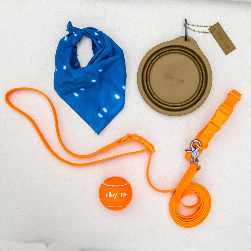 Collapsible Pet Bowl with Clip – Compact, Reusable and Easy to Clean Tilley + Me
