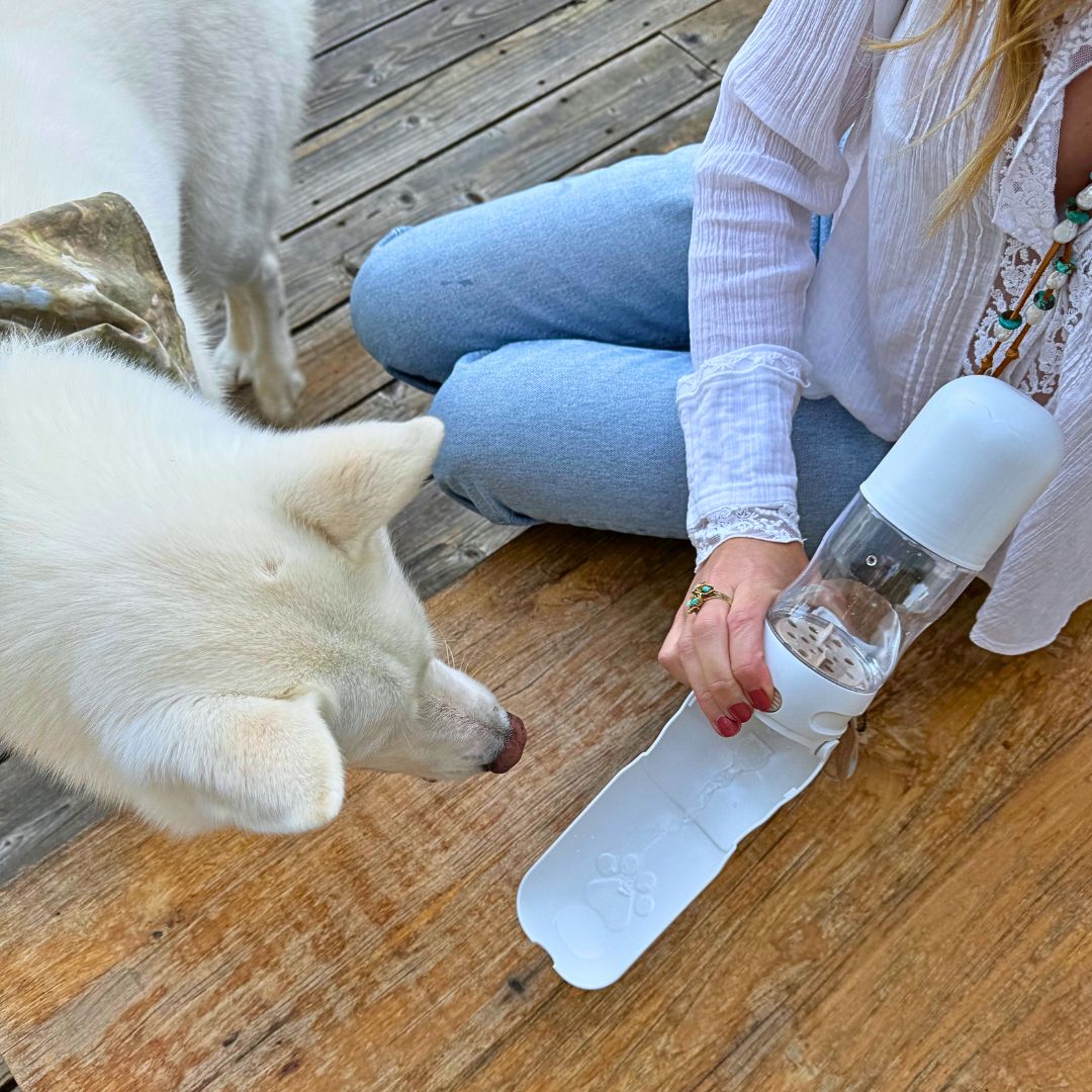 Travel Dog Water Bottle with Treat Holder – Leakproof & BPA-Free 350mL Tilley + Me