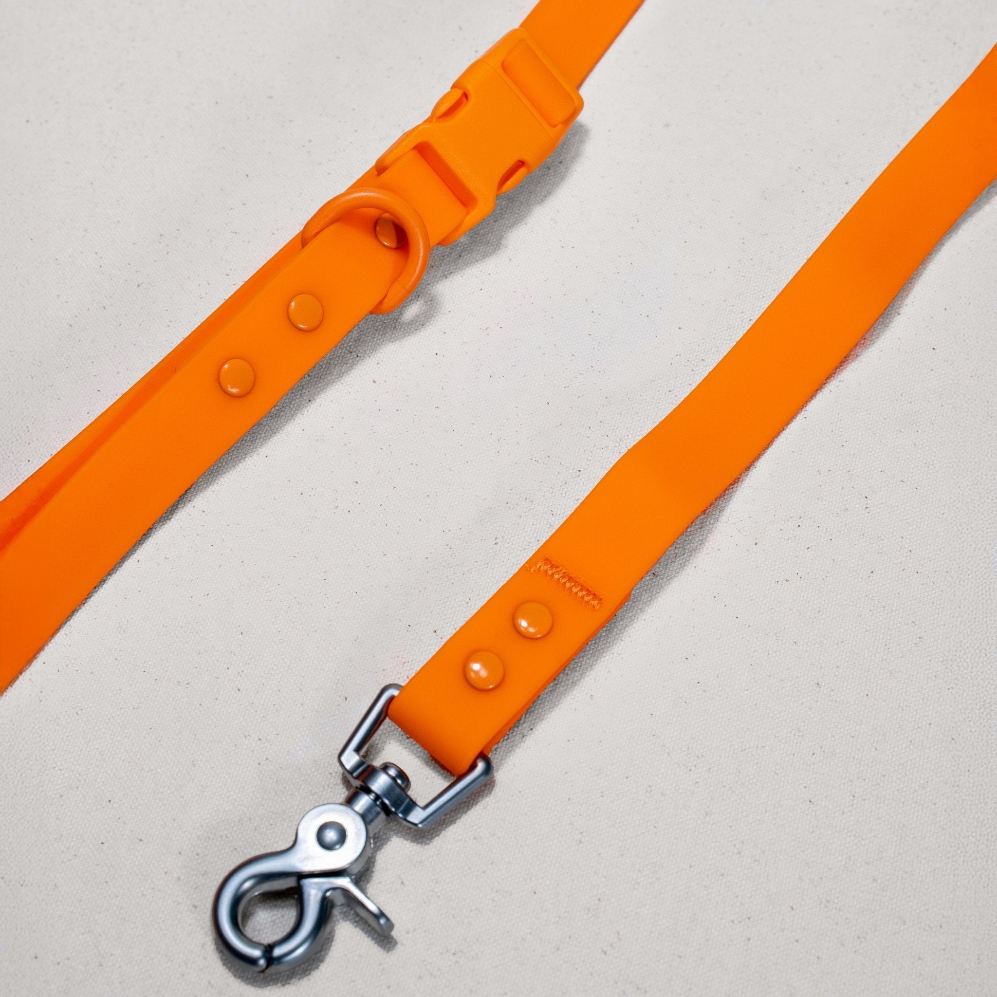 PVC Handsfree Dog Leash - All Weather Waterproof Durable & Odor-Resistant Tilley + Me