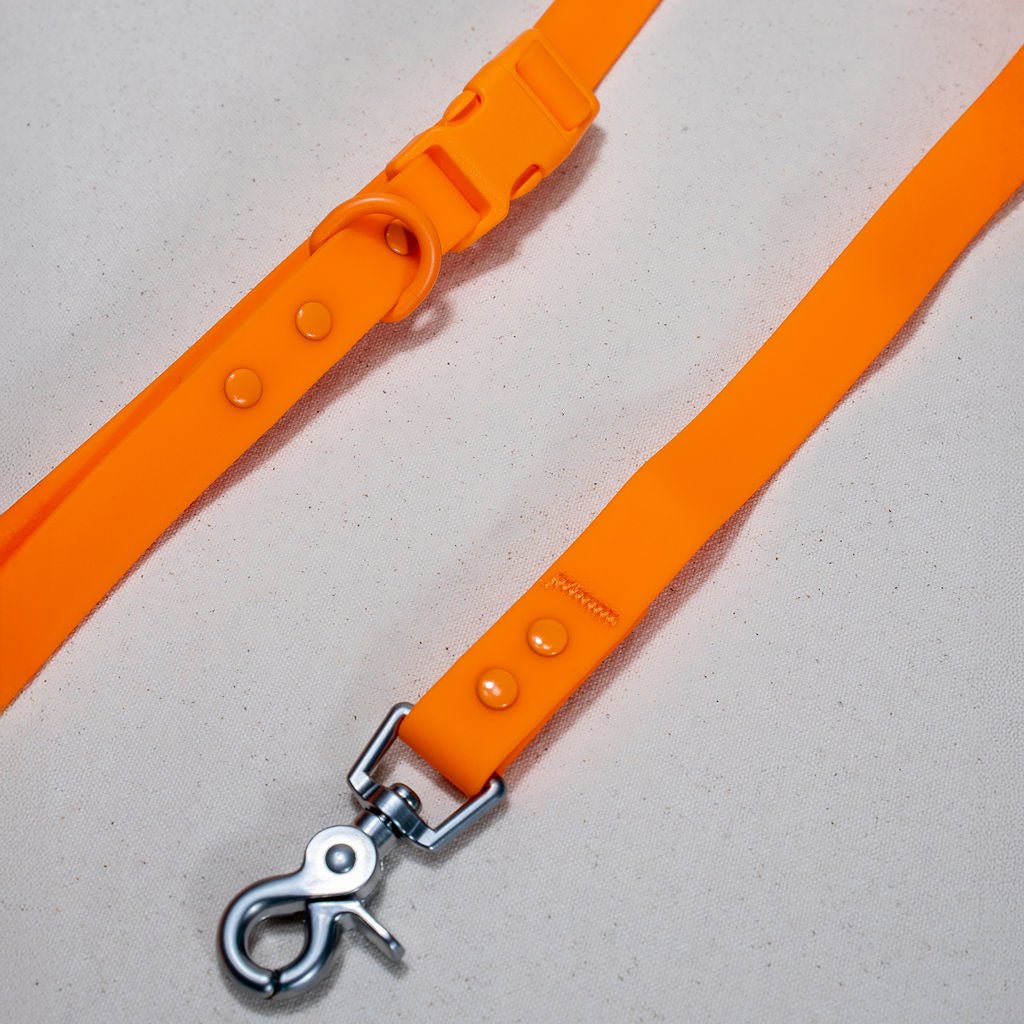 PVC Dog Collar - All Weather Waterproof Durable & Odor-Resistant Tilley + Me