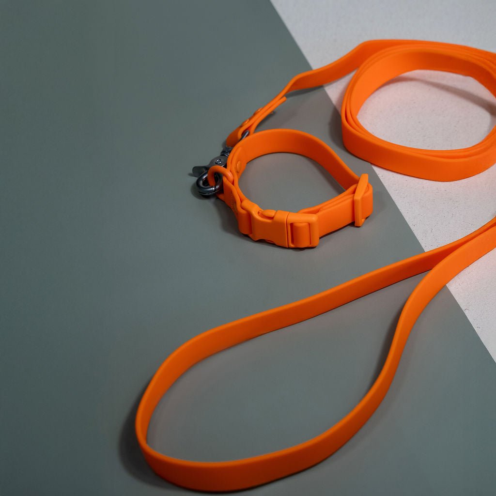 PVC Handsfree Dog Leash - All Weather Waterproof Durable & Odor-Resistant Tilley + Me