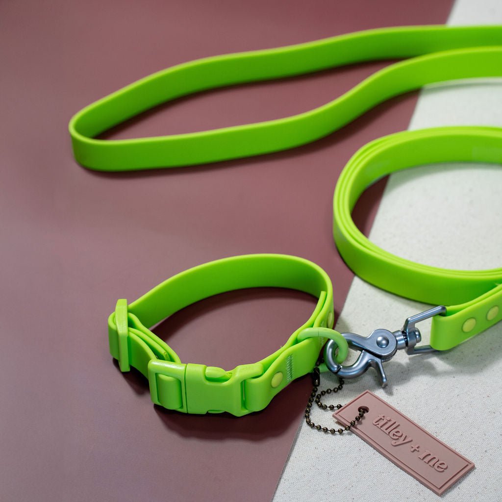 PVC Handsfree Dog Leash - All Weather Waterproof Durable & Odor-Resistant Tilley + Me