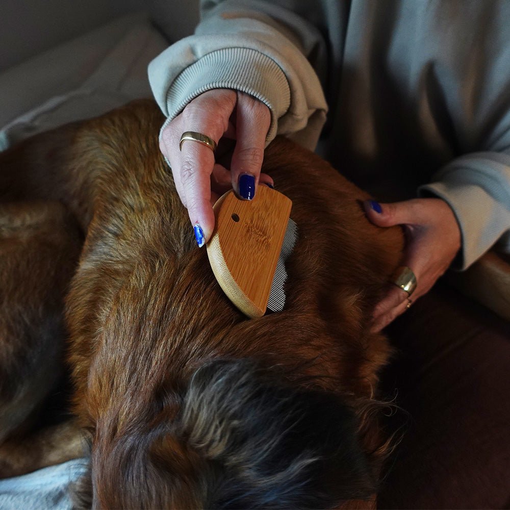 Bamboo Flea Comb for Dogs & Cats – Gentle & Eco-Friendly Tilley + Me