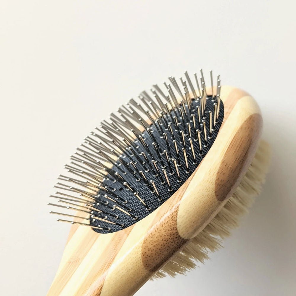 Two-Sided Pet Brush – Bristle & Wire for Shedding & Detangling Tilley + Me