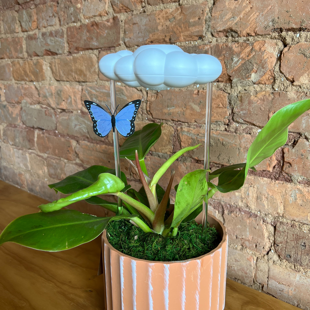 Original Dripping Rain Cloud with Blue Butterfly Charm The Cloud Makers