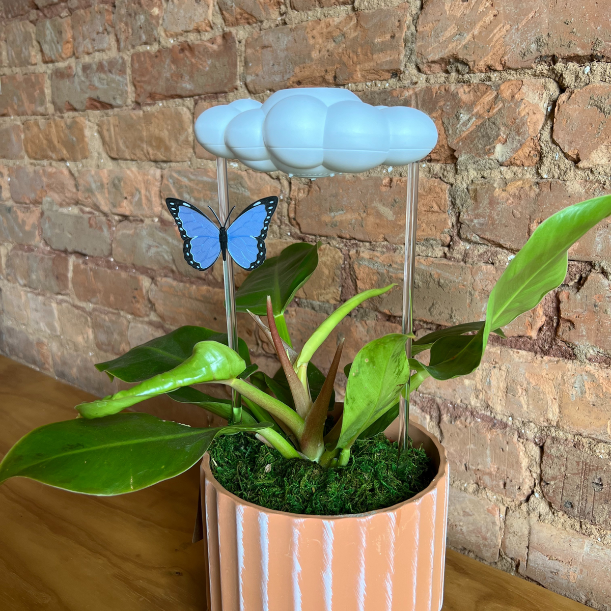 Original Dripping Rain Cloud with Blue Butterfly Charm The Cloud Makers